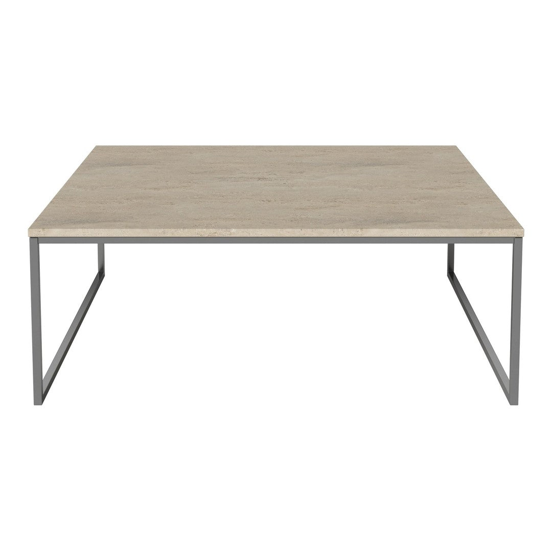 Gray rectangular coffee table with a smooth, light wood grain top and a sleek metallic frame. Perfect for modern decor.