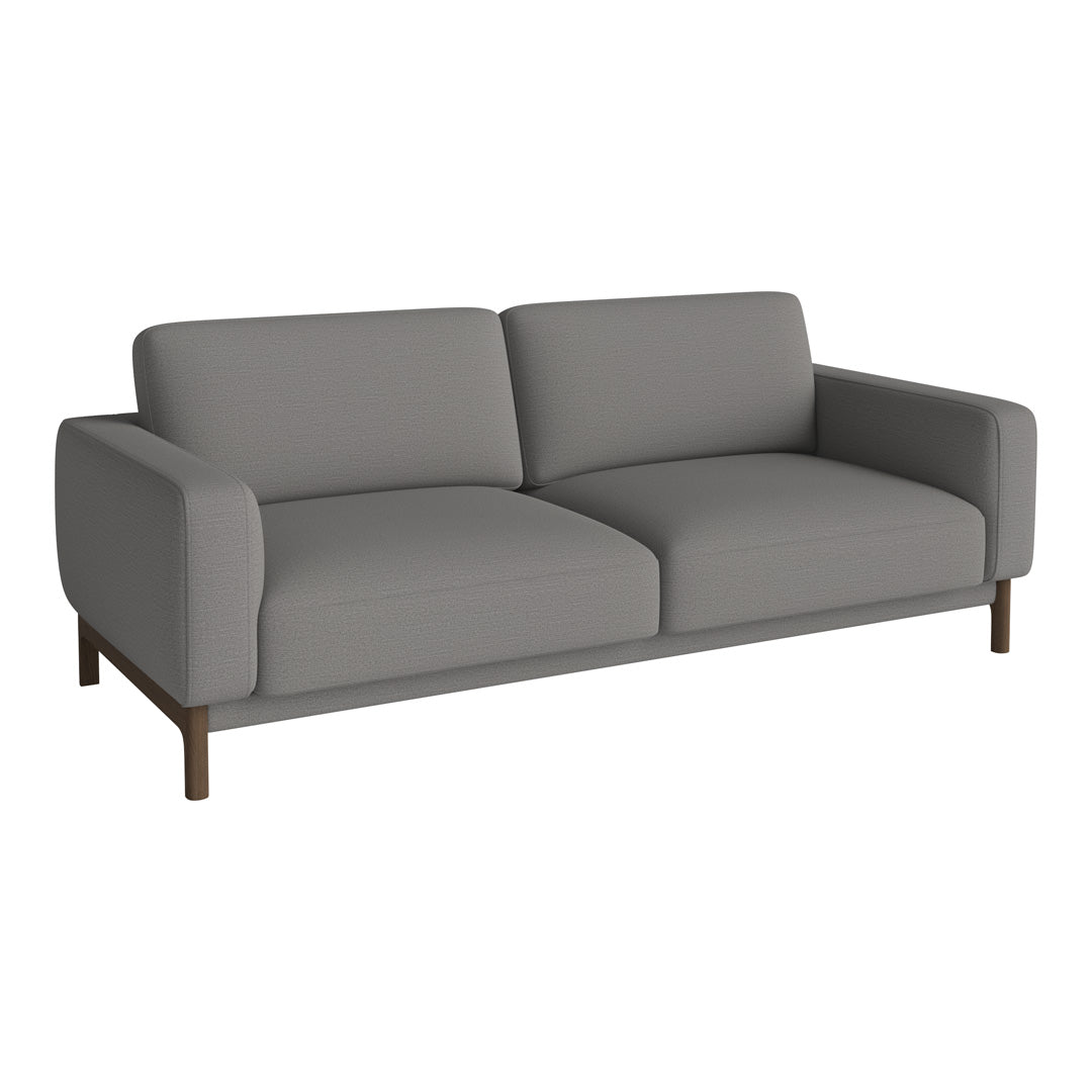 Modern gray sofa with a sleek, minimalist design and smooth upholstery, featuring a wooden base for contrast.