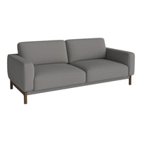 Modern gray sofa with a sleek, minimalist design and smooth upholstery, featuring a wooden base for contrast.