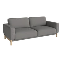 Modern gray sofa with clean lines and minimalist design, featuring a solid wood base. Perfect for contemporary decor.