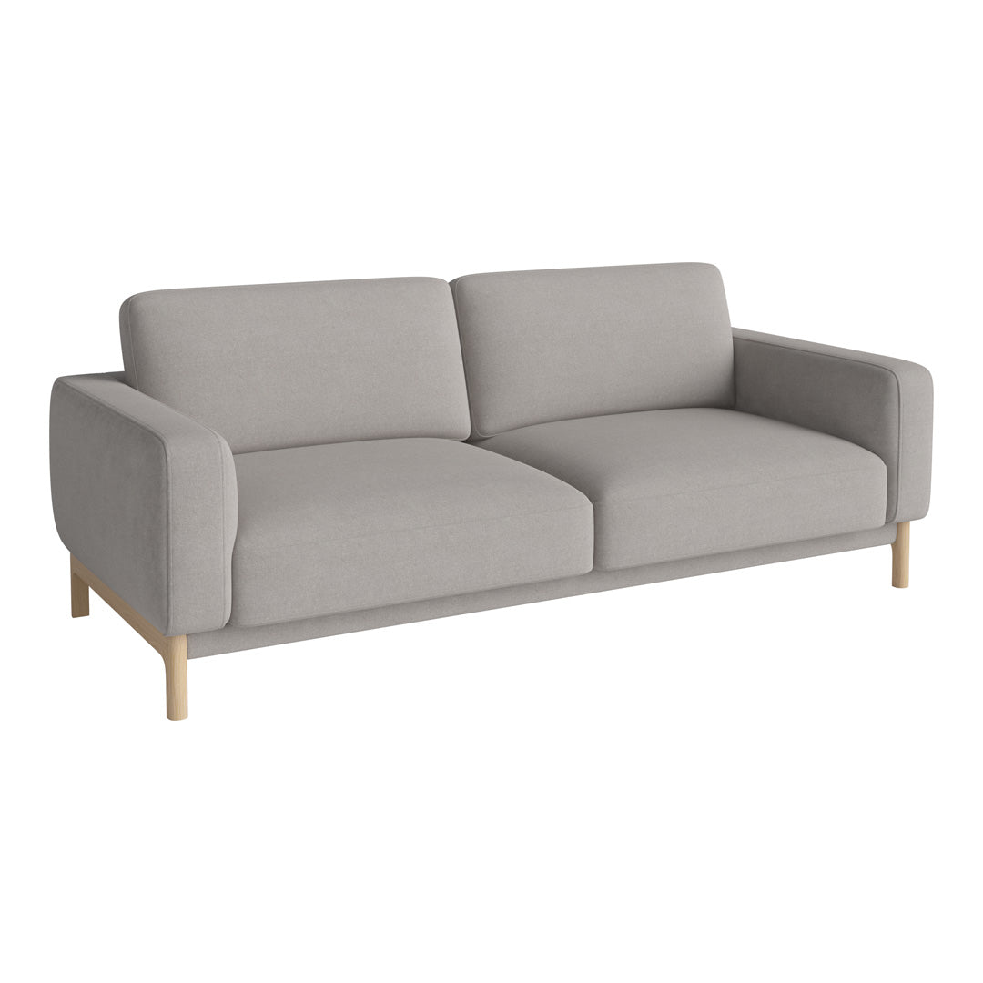 Light gray sofa with a minimalist design and smooth upholstery, featuring wooden legs for a modern touch.