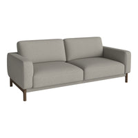 Light gray modern sofa with clean lines and a smooth fabric pattern, featuring a wooden base for a contemporary look.