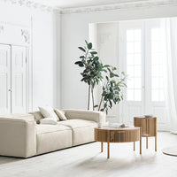 Neutral beige sofa with minimalist design, paired with natural wooden tables and lush green plants in a bright, airy room.