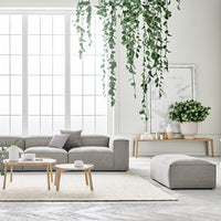 Gray sofa with soft textures, light wood accents, and a neutral cream rug in a bright, airy room.