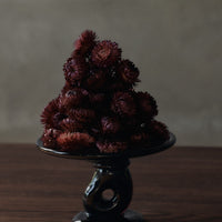 Dramatic deep burgundy flowers clustered on a sleek black pedestal against a muted gray background.