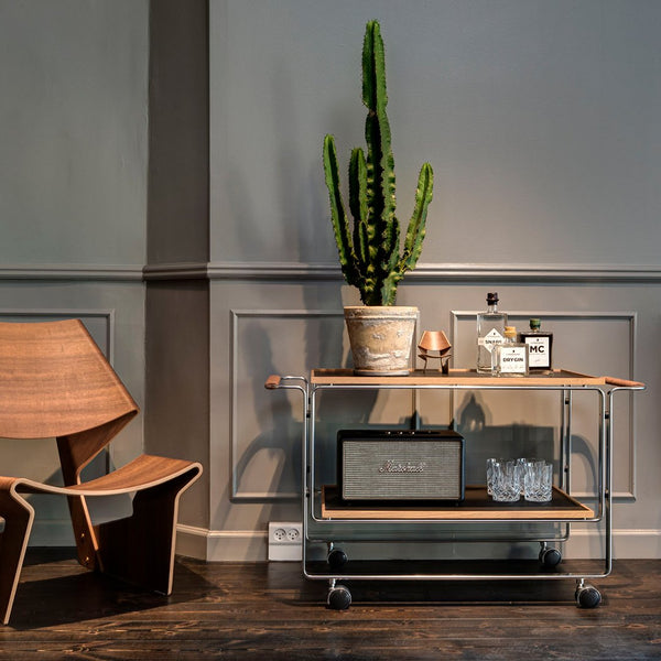 Wooden bar cart with a light wood finish, black metal accents, and vibrant green cactus against a neutral gray wall.