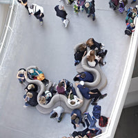 Cloverleaf Sofa - 5 Units