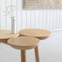 Natural wood tabletop with round shapes, showcasing a light oak finish and smooth texture against a white background.