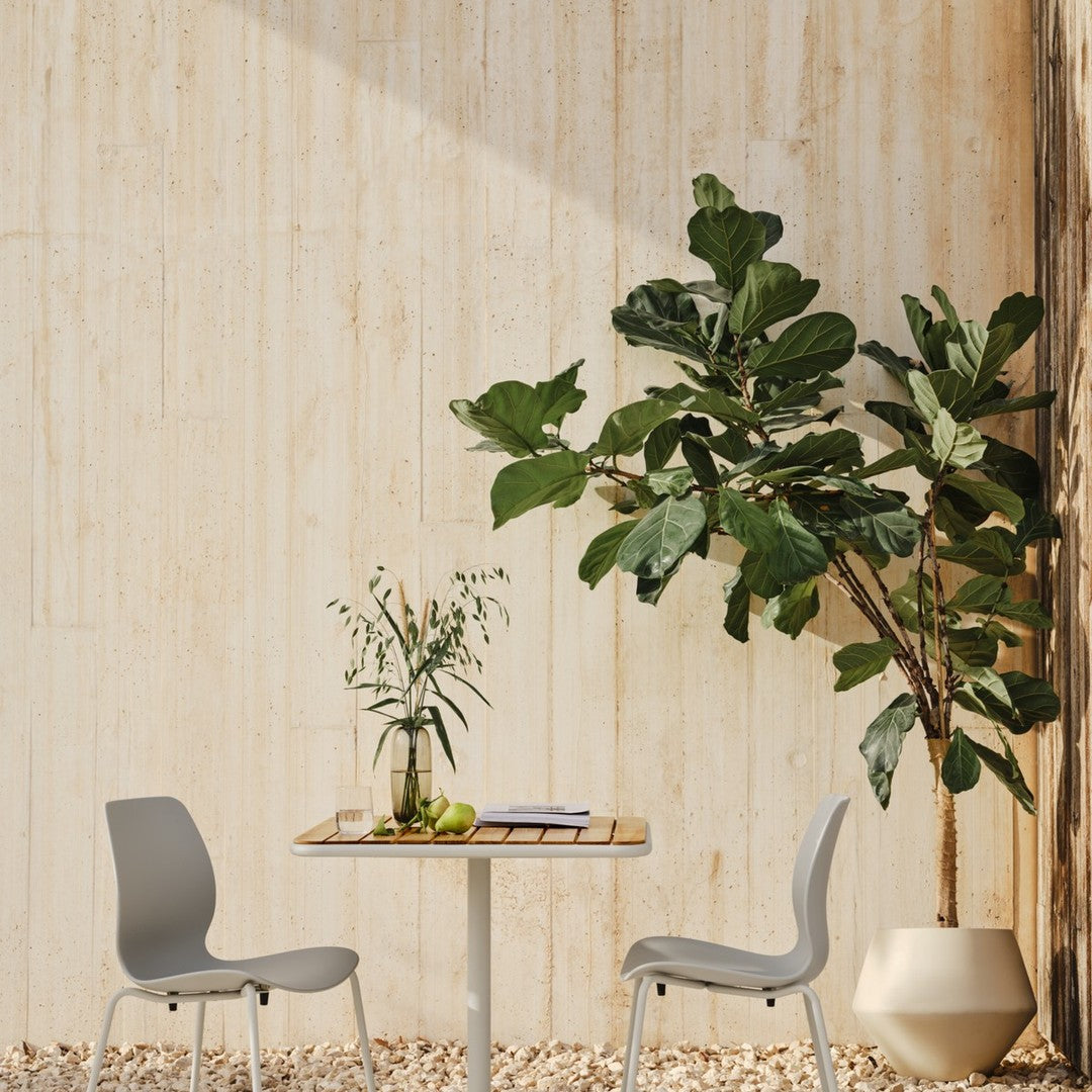 Light gray chairs and a wooden table against a neutral beige wall, complemented by vibrant greenery.