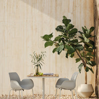 Modern gray chairs and a minimalist table against a warm beige wall, surrounded by lush green foliage.