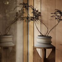 Ceramic planter in soft gray with textured details, featuring silhouetted plant branches against warm wooden backdrop.