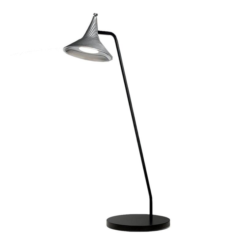 Sleek black floor lamp with a metallic silver cone shade and minimalist design. Perfect for modern interiors.