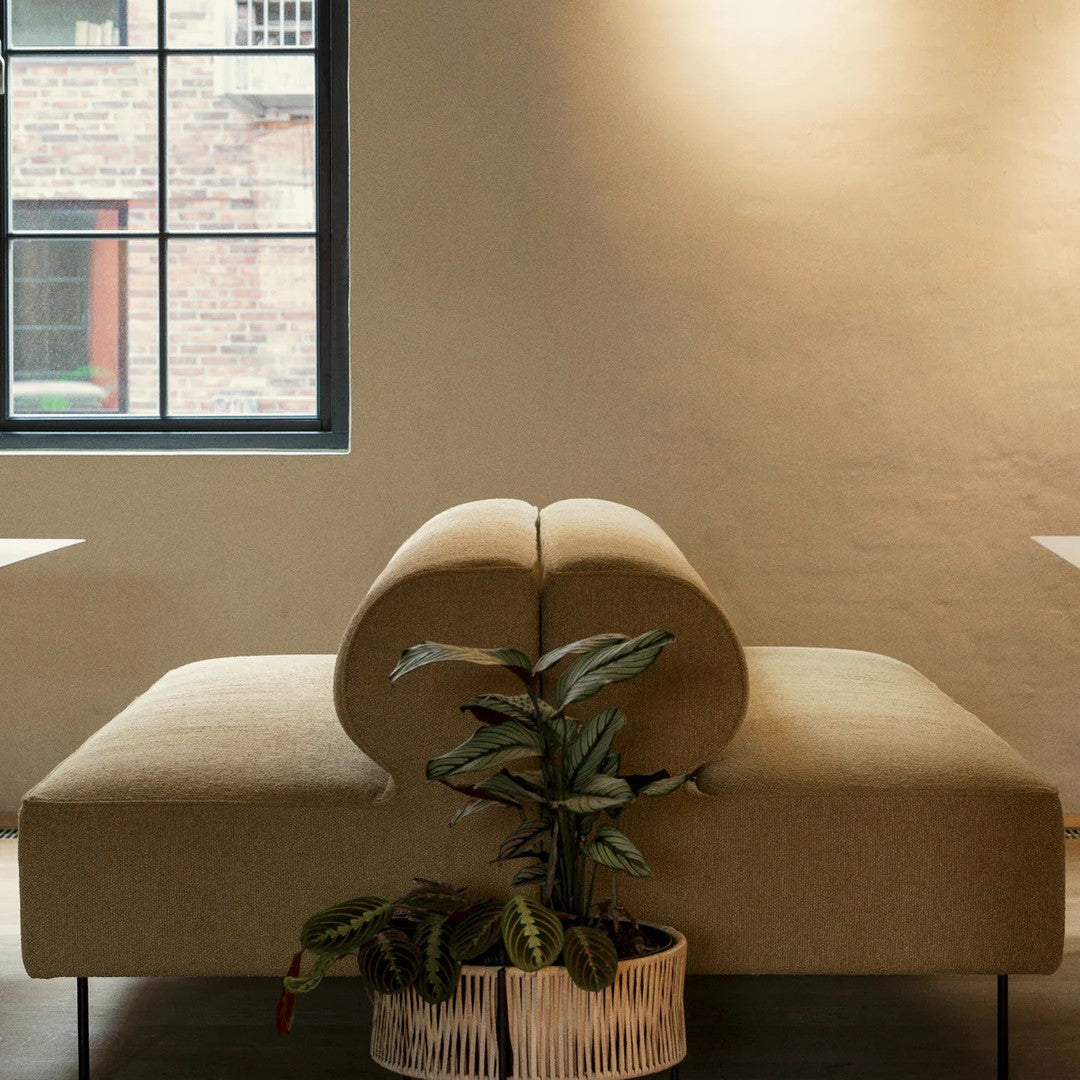 Modern beige sofa with rounded back and subtle texture, accented by a green plant in a white pot.