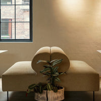 Beige sofa with a rounded back and subtle texture, complemented by a green plant in a decorative pot.