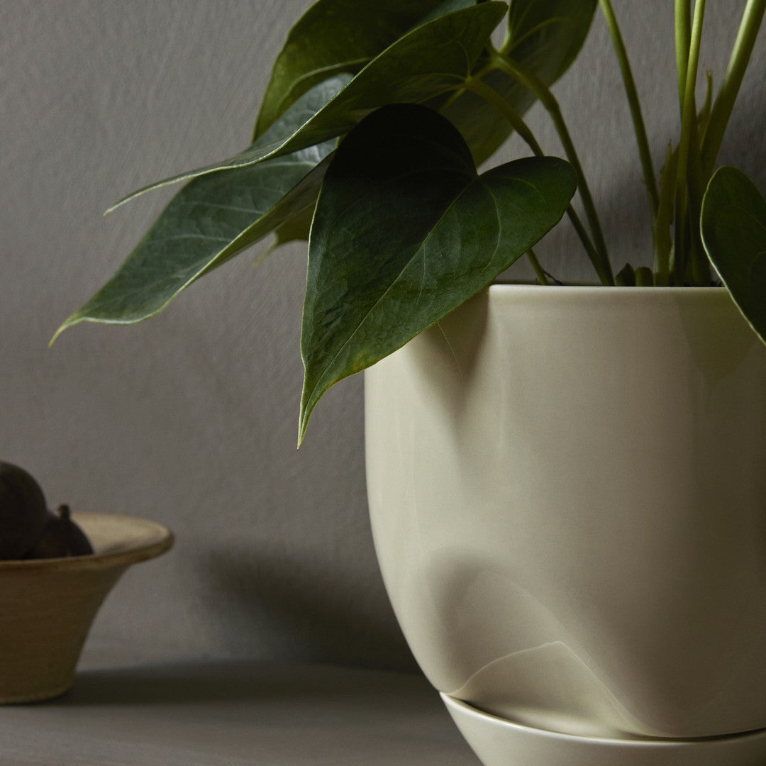 Cream ceramic planter with smooth finish, featuring glossy texture and minimalistic design, highlighted by green foliage.