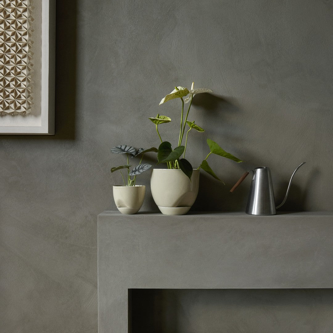 Minimalist ceramic vases in cream and green with a sleek silver watering can against a textured gray backdrop.