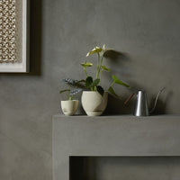 Minimalist ceramic vases in cream and green with a sleek silver watering can against a textured gray backdrop.