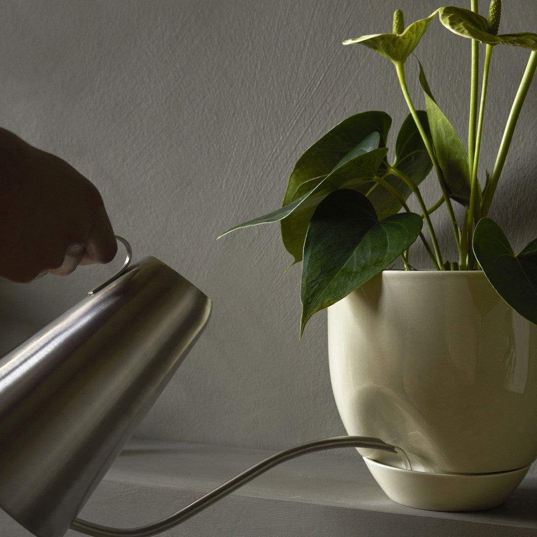 Silver kettle watering a glossy cream planter with vibrant green leaves. Textured wall backdrop enhances the scene.