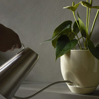 Silver kettle watering a glossy cream planter with vibrant green leaves. Textured wall backdrop enhances the scene.