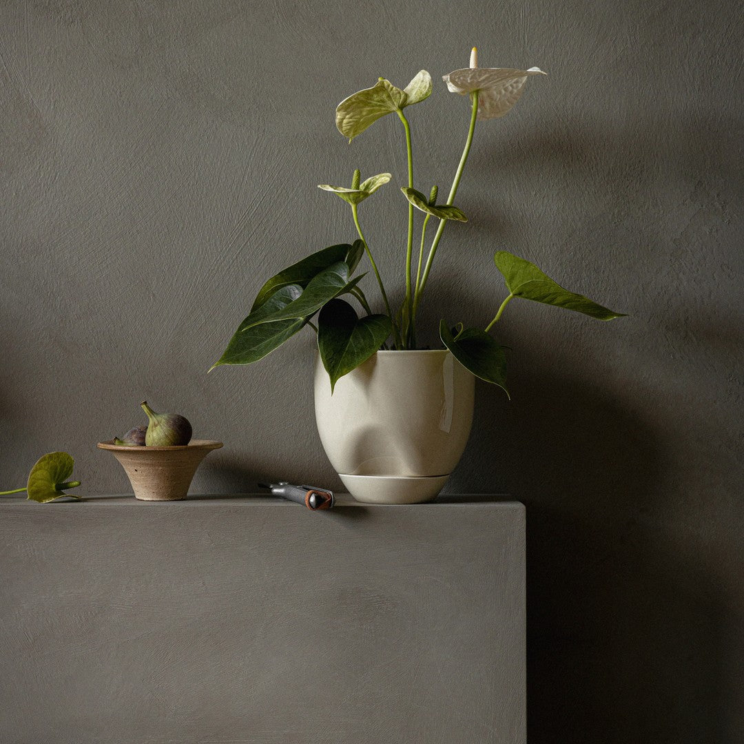 Cream-colored planter with green leaves against a neutral gray background, featuring minimalistic design and natural textures.