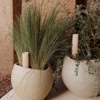 Light beige textured pots with green grasses and herbs, featuring natural bamboo accents for a modern, earthy decor.