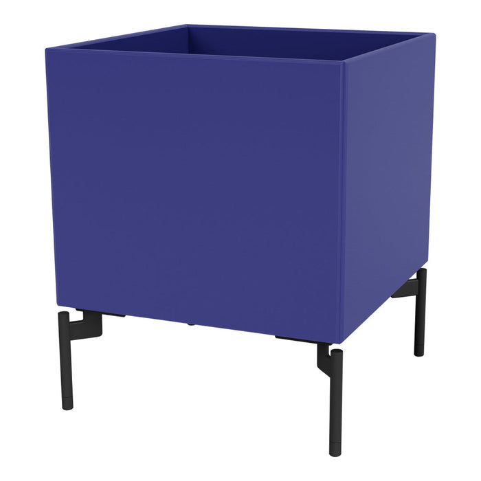 Square planter in vibrant blue with sleek black legs, perfect for modern decor. Ideal for indoor greenery.