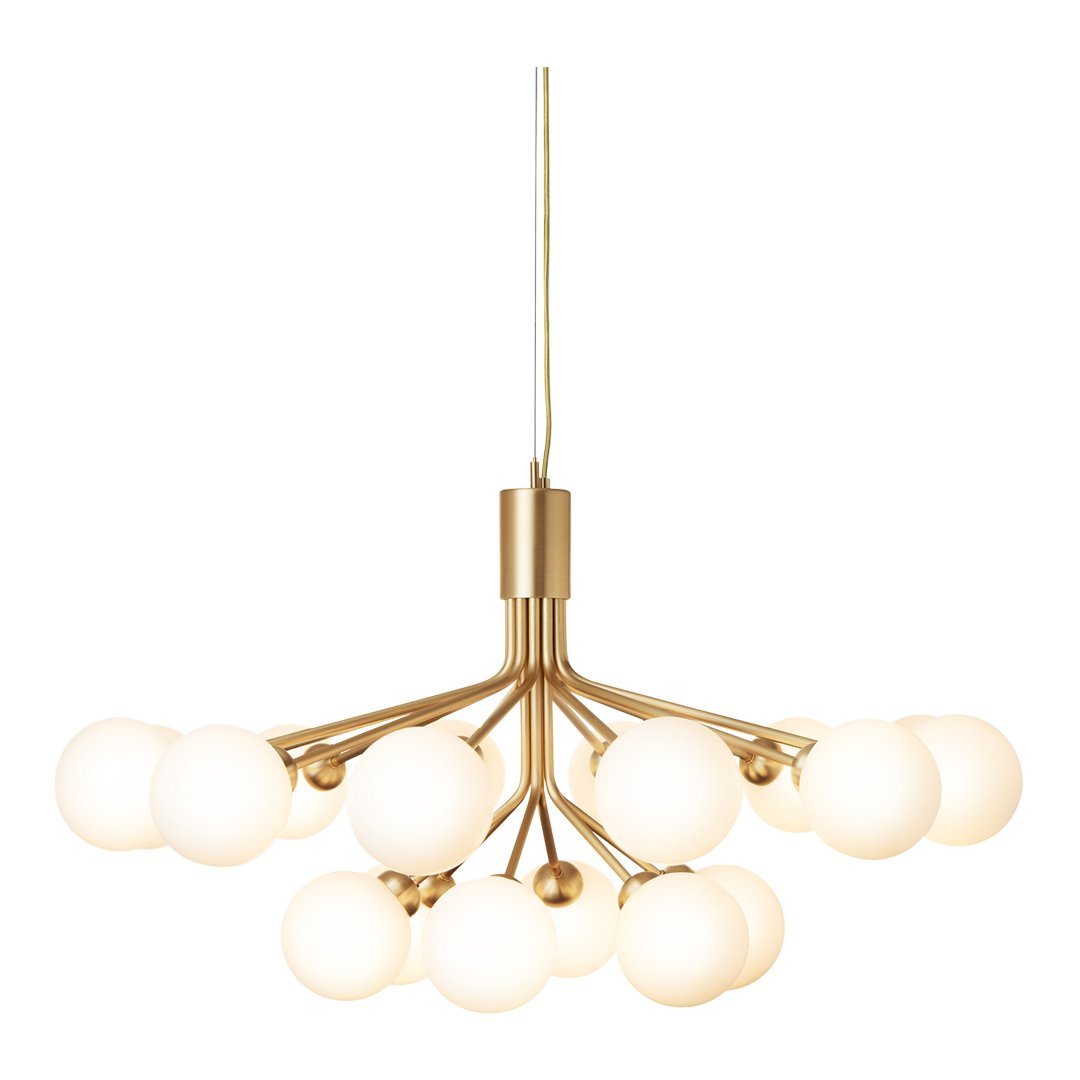Apiales 18 Chandelier