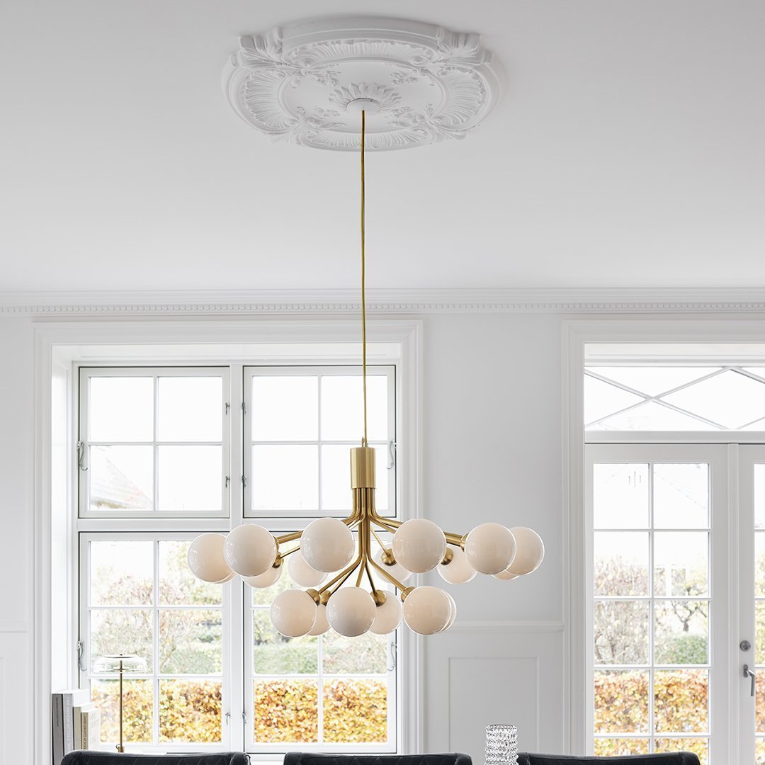 Apiales 18 Chandelier