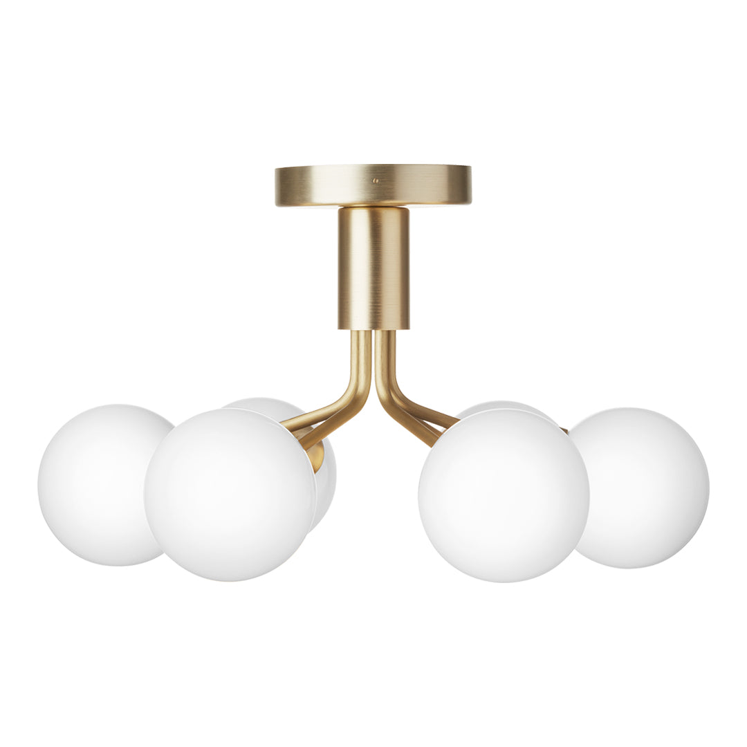 Apiales 6 Ceiling Fixture