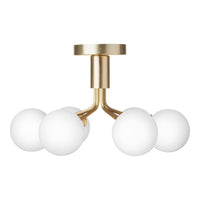 Apiales 6 Ceiling Fixture