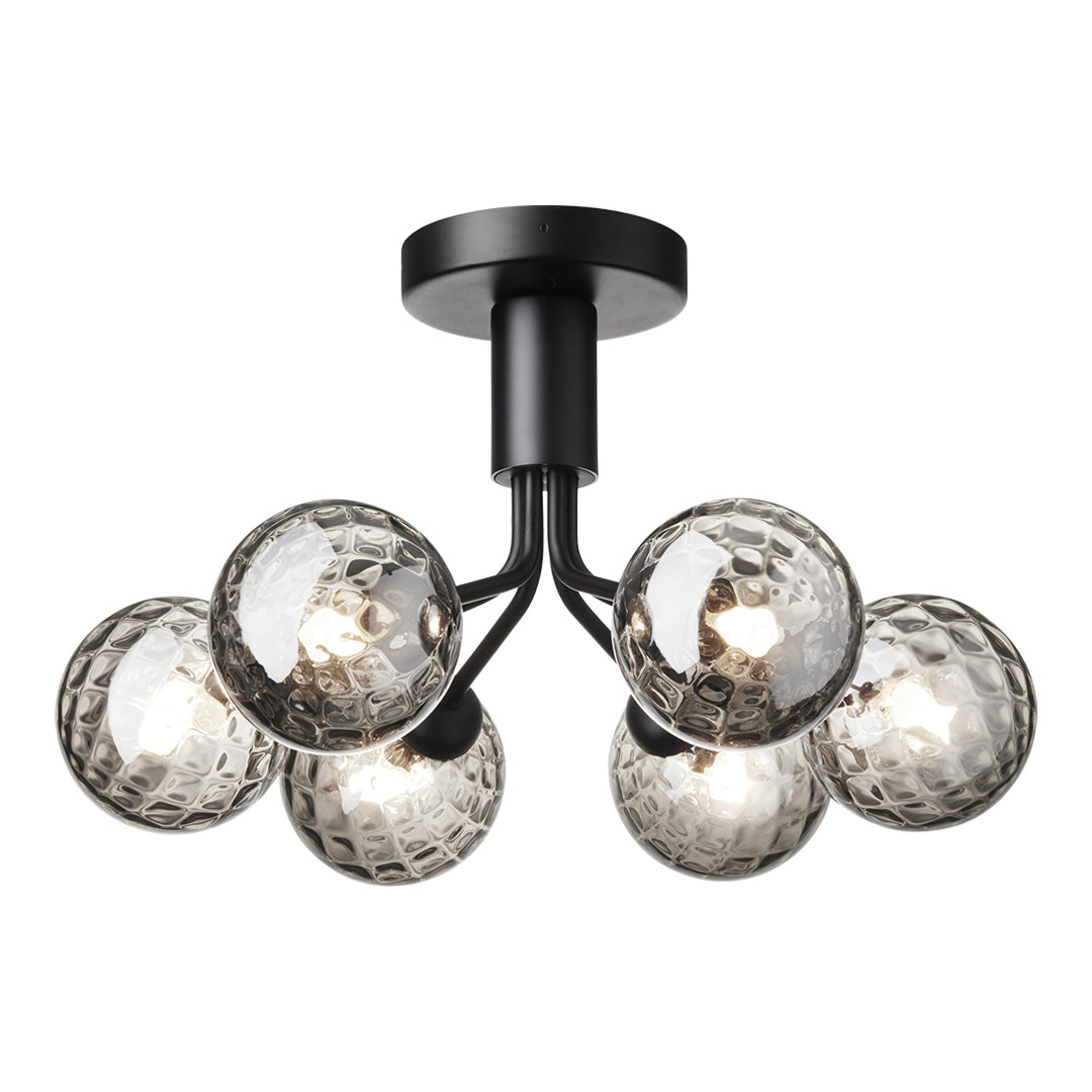 Apiales 6 Ceiling Fixture