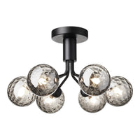 Apiales 6 Ceiling Fixture