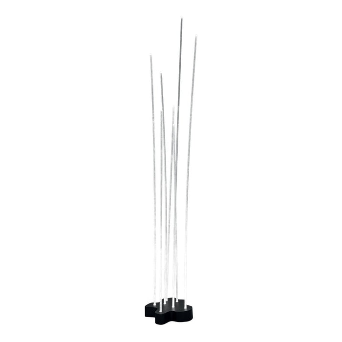 Clear glass sticks on a sleek black base, creating a modern and minimalist design. Suitable for contemporary decor.
