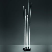 Modern floor lamp with sleek white LED rods on a black base, set against a dark backdrop.