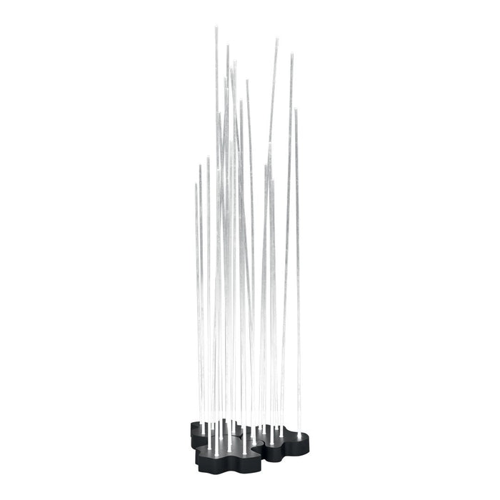 "Clear acrylic rods with a sleek black base, arranged in a modern, abstract formation."