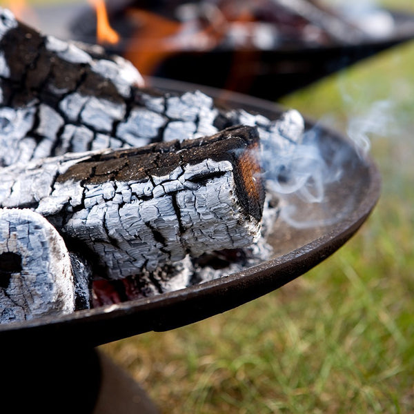 Charred black wood logs with gray ash and smoke, set against a blurred green background. Perfect for outdoor fire settings.