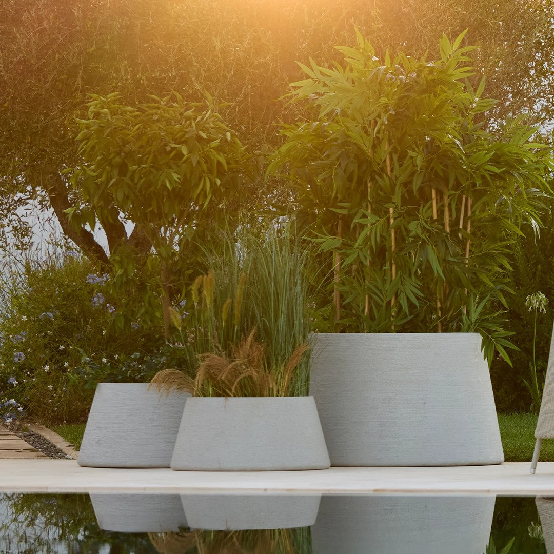 Gray concrete planters in varying sizes, set against lush green foliage and a soft, warm light backdrop.