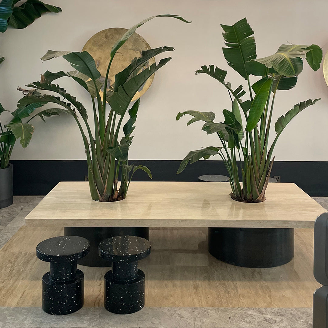 Natural stone tabletop with earthy beige tones, paired with black speckled stools and lush green plants for a modern aesthetic.