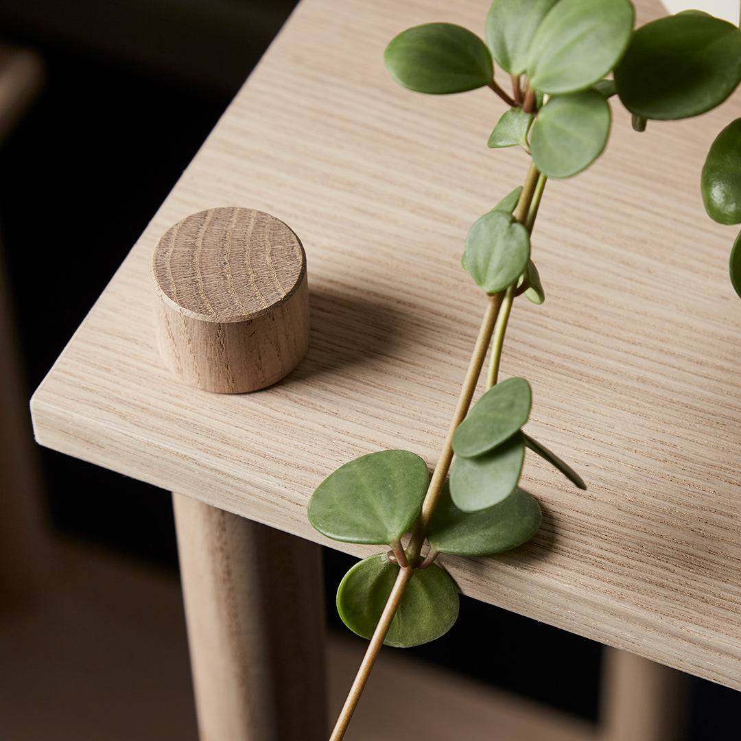 Natural wood table with a round light brown knob and green trailing plant, showcasing earthy tones and smooth textures.