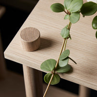 Natural wood table with a round light brown knob and green trailing plant, showcasing earthy tones and smooth textures.