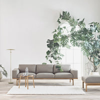 Gray sofa with wooden legs, white rug, and greenery backdrop, creating a serene, modern living space aesthetic.