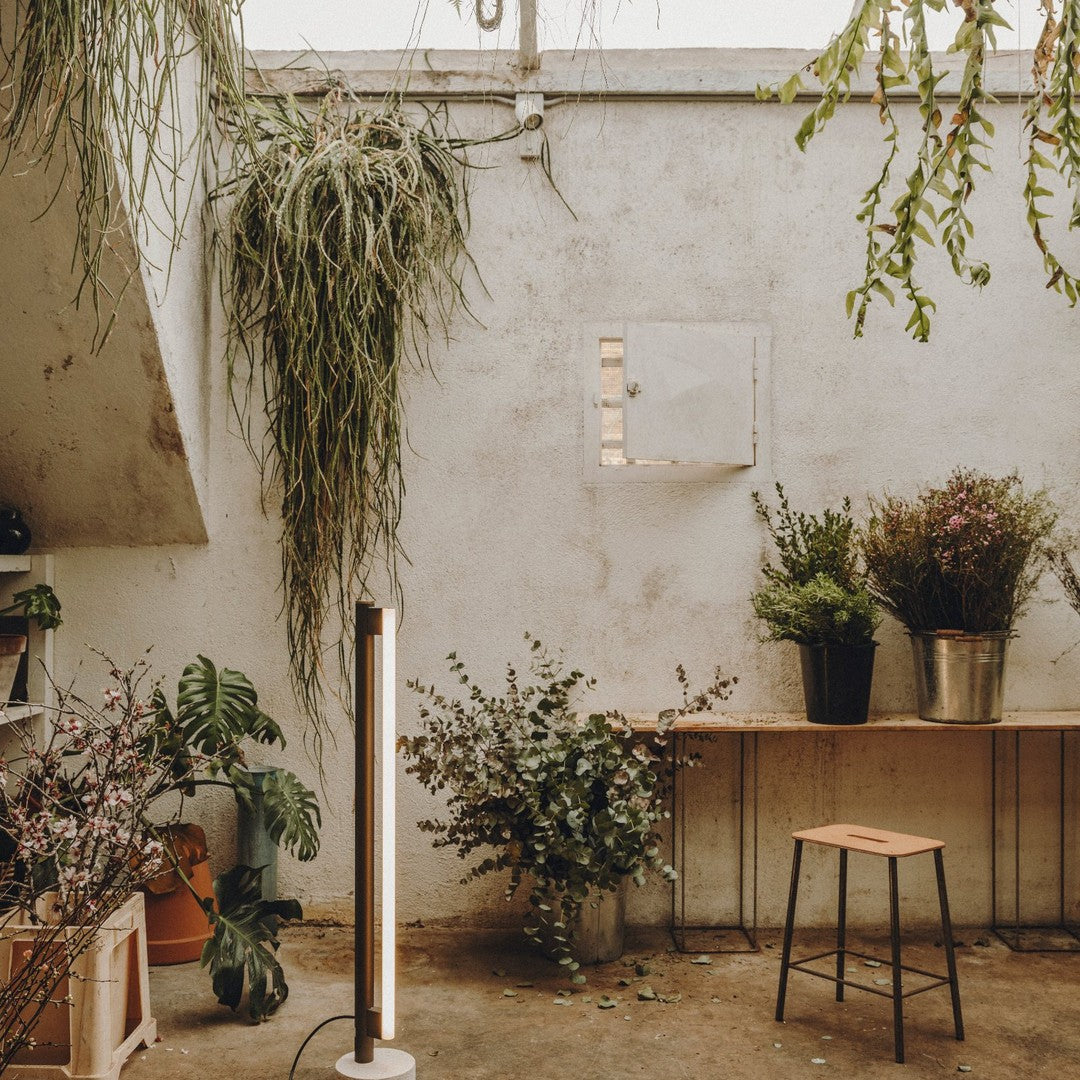 Indoor space featuring earthy tones, greenery, and natural textures with a minimalist style.