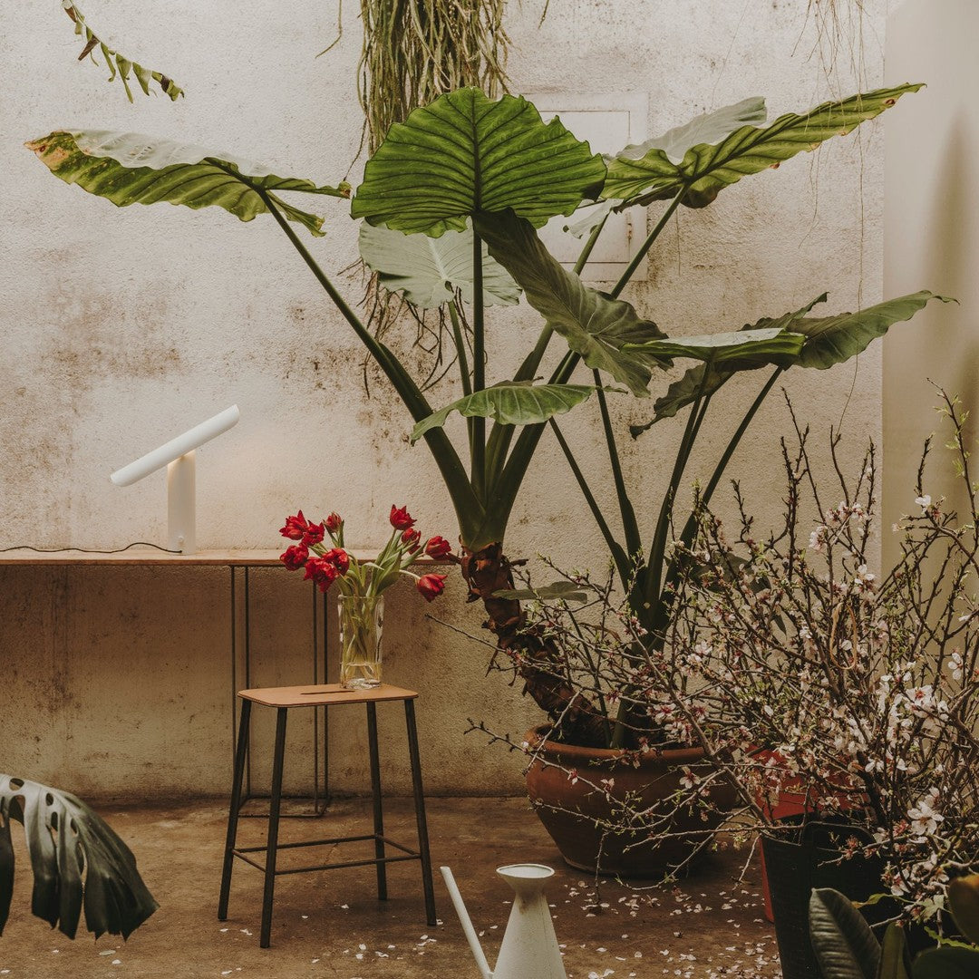 "Lush green leaves with vibrant red flowers in a soft, earthy-toned setting, creating a calming botanical vibe."