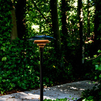 Black solar garden light with a sleek, circular top against a vibrant green leafy backdrop.